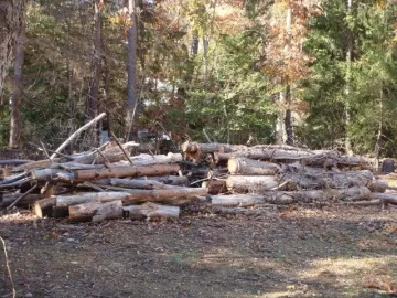 [Hearth.com] Ok it's that time of the year again....... to show wood piles/stacks!!