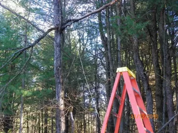 [Hearth.com] Hung Up Maple Branch