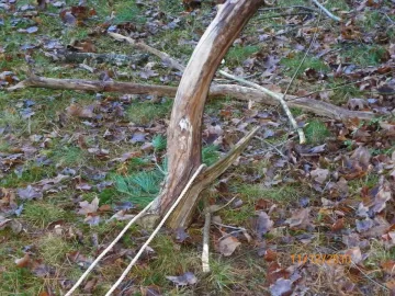 [Hearth.com] Hung Up Maple Branch