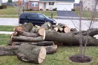 [Hearth.com] Got a load of Oak yesterday