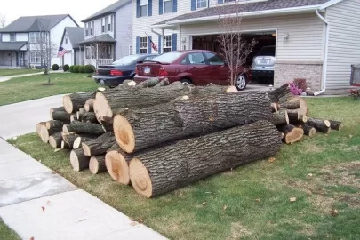 [Hearth.com] Got a load of Oak yesterday