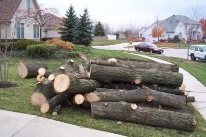 [Hearth.com] Got a load of Oak yesterday