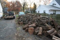 I hit the mother load.....wood NJ still more for the taking