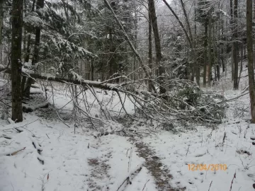 [Hearth.com] Trail Clearing