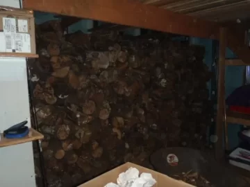 [Hearth.com] 3.3 cords of wood moved into the basement