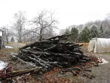 [Hearth.com] Their is a hole in my wood pile