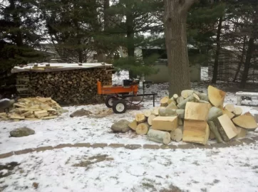 [Hearth.com] Cut a load of Sycamore today