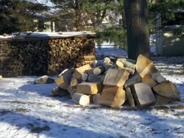 [Hearth.com] Cut a load of Sycamore today