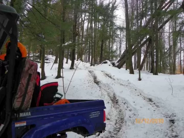 [Hearth.com] Todays trip/ Cherry,Sugar Maple and Ironwood