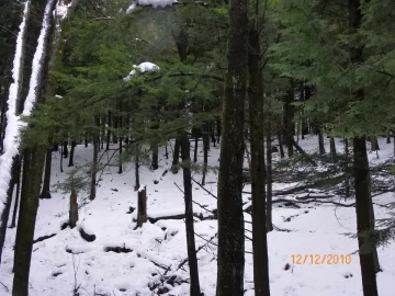 [Hearth.com] Skier76/ The Bowl in the Winter