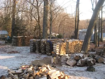 [Hearth.com] gettin the wood piles cleaned up