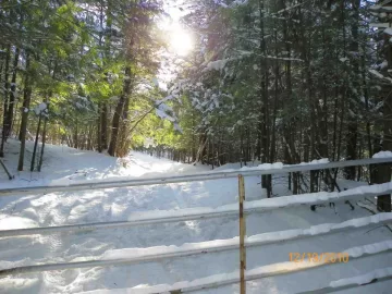 [Hearth.com] Trail Cleared