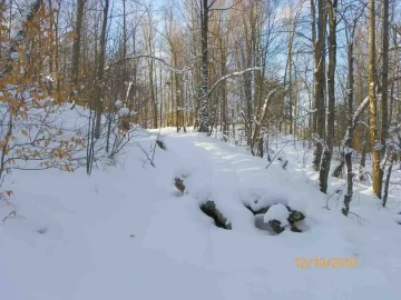 [Hearth.com] Trail Cleared