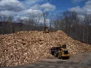 [Hearth.com] Look at the wood pile in this CL ad!