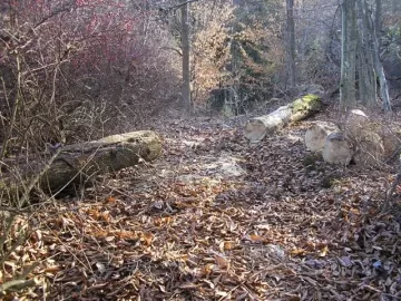 [Hearth.com] Clearing the trail