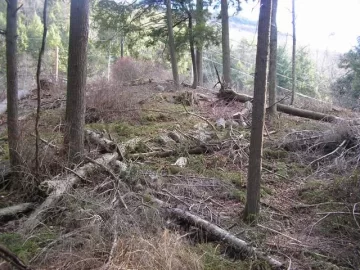 [Hearth.com] Clearing the trail