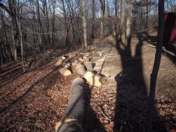 [Hearth.com] Cherry Down for my New Years Day Bang, 6 More to Go