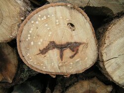 Smiling wood