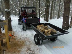 Done Hoarding the Sugar Maple