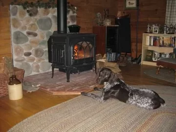 [Hearth.com] Your pets with your stove