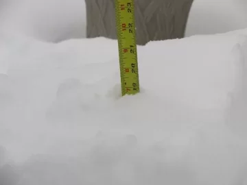 [Hearth.com] 7 inches by 9:30 10 to 15 more coming.