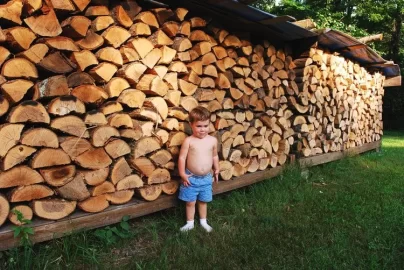 [Hearth.com] WoodButcher JR.