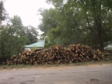 [Hearth.com] Pic of my log pile