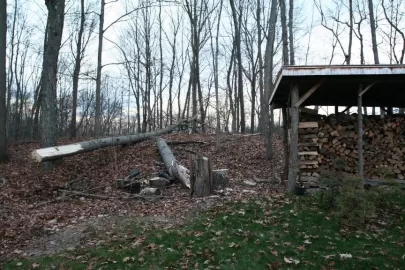 [Hearth.com] Wood shed?