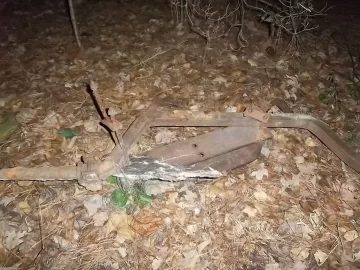 [Hearth.com] Found This Out In The Woods.