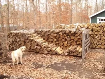 [Hearth.com] How's your wood supply for next winter?