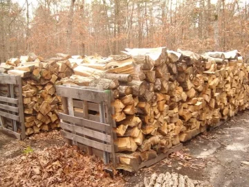 [Hearth.com] How's your wood supply for next winter?