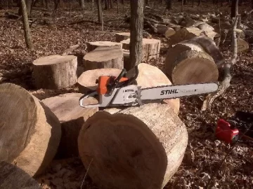 [Hearth.com] Show your saws thread!