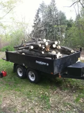 [Hearth.com] Free Firewood (Bristol_Connecticut)