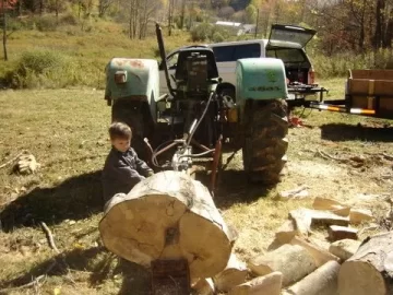 [Hearth.com] Precision felling cuts on bigger trees?