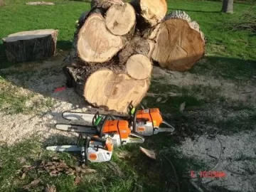 [Hearth.com] Old tree down.