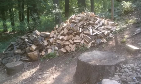 [Hearth.com] How many wood piles do you have?