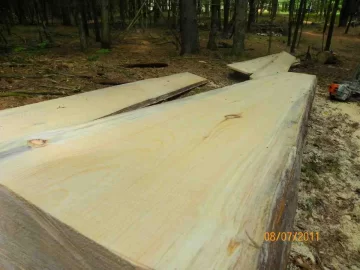 [Hearth.com] Milled Pine from Sunday 8/7/2011