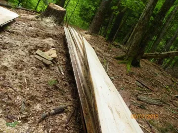 [Hearth.com] Milled Pine from Sunday 8/7/2011