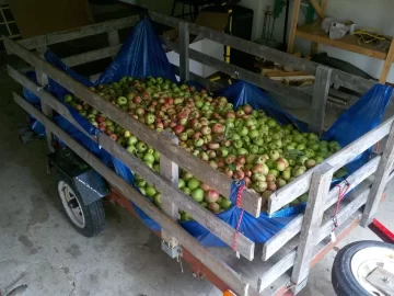 [Hearth.com] Cider Day