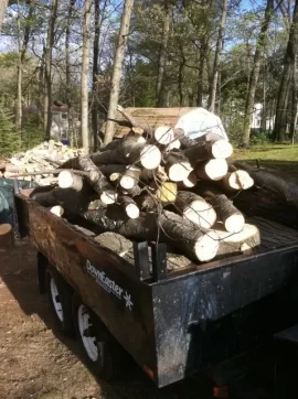 [Hearth.com] Large Dead Oak Come Down And Provide 8 Cord Of Wood