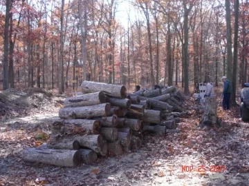 [Hearth.com] scored a nice load of wood today.....