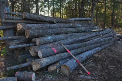 [Hearth.com] Demand for firewood not being met