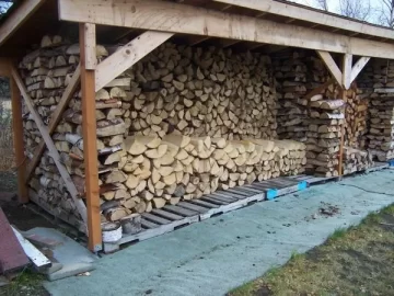 [Hearth.com] It's filling the shed. (pics)