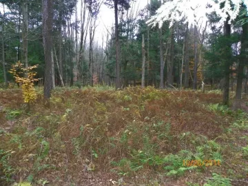 [Hearth.com] Area for our Cabin Build