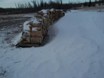 [Hearth.com] Inside wood box empty, 45 MPH winds, 10Â° outside