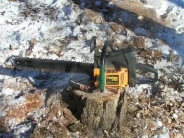 [Hearth.com] show off your chainsaw