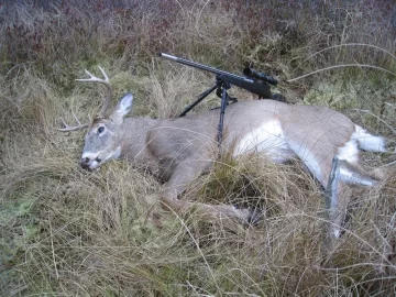 [Hearth.com] opening day of deer hunting in ct