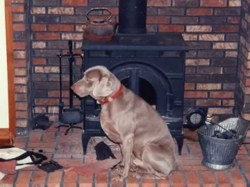 [Hearth.com] pellets in central pa