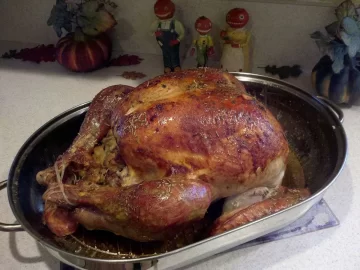 [Hearth.com] FFF....Let's talk turkey and stuff....ing....