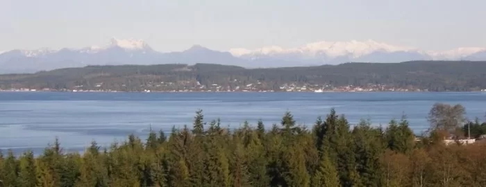 [Hearth.com] Vancouver Island Logging Train.